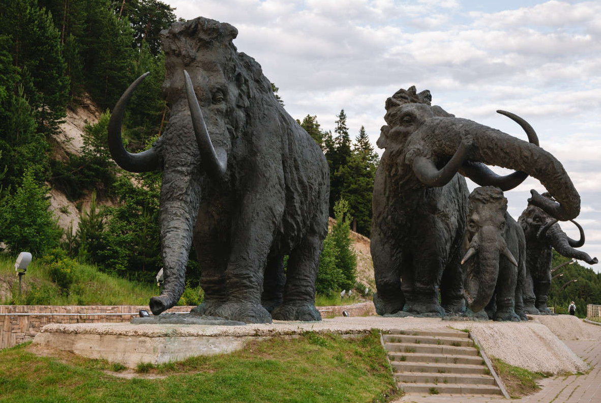 остановки и экскурсии